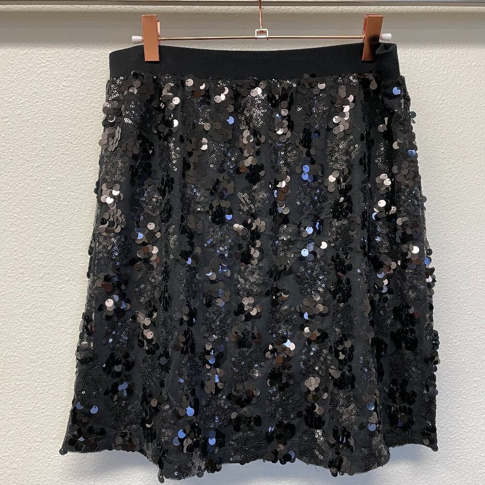 Sequin and Payette Skirt